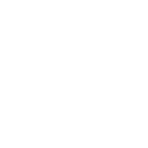 logo-audi-300