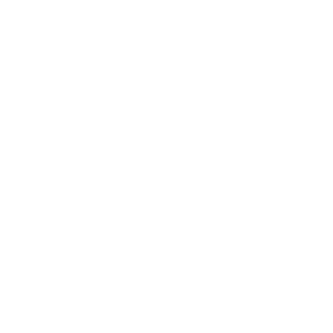 logo-bmw-300