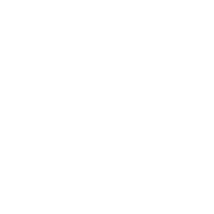 logo-citreon-300