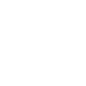 logo-porsche-300